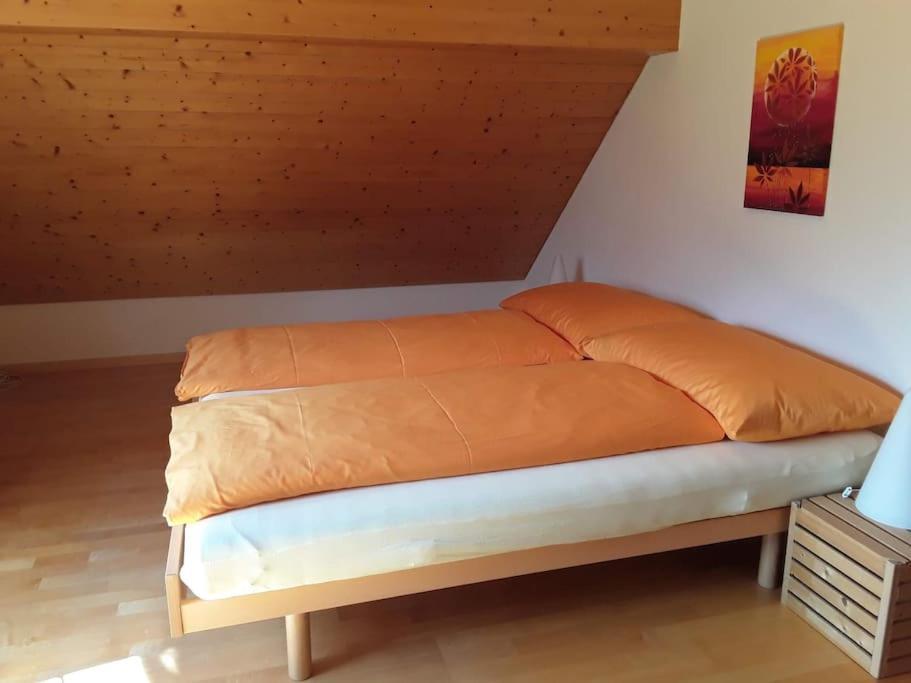 Zwinglis Ferienwohnung Rosi Nesslau Exteriör bild